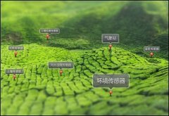 云飞农业物联网走进信阳茶园