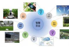 智慧农业有哪些作用?